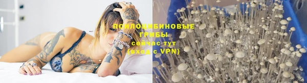 спиды Абинск