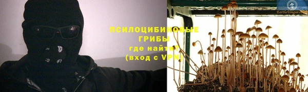прущие крисы Алексин