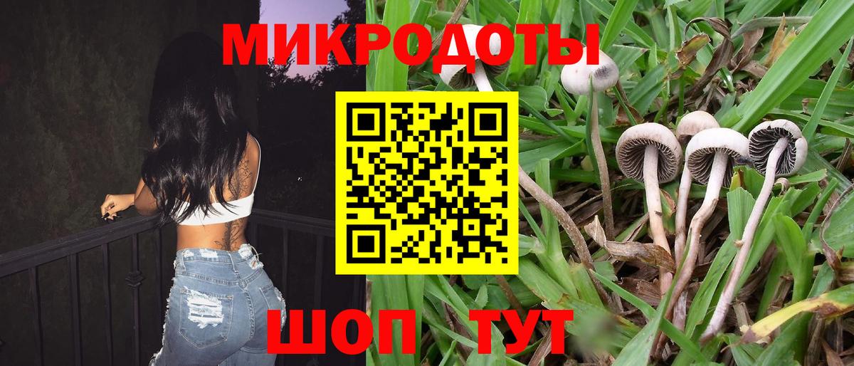 Галлюциногенные грибы мухоморы Саянск